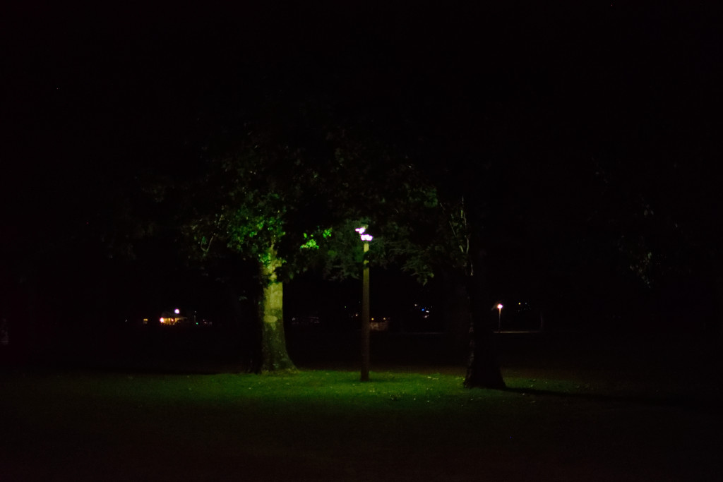 Picture of a lamp post captured at night. The grass is illuminated and green despite the shadowy surroundings