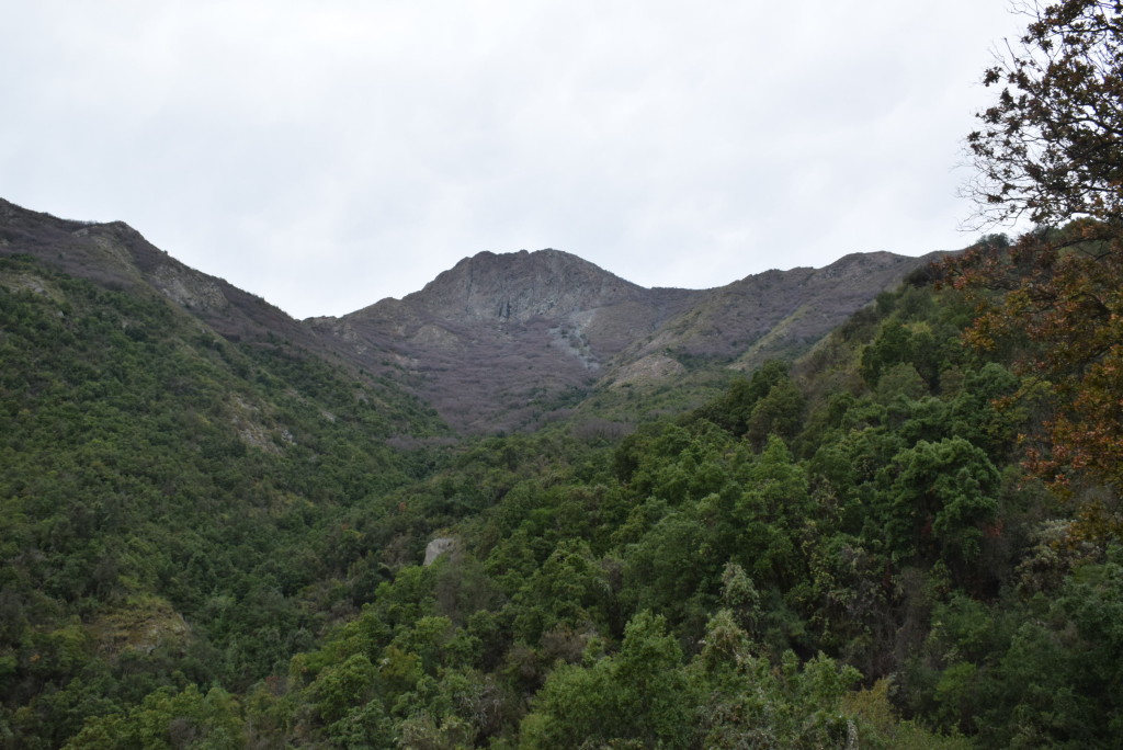 Cerro La Campana in Chile